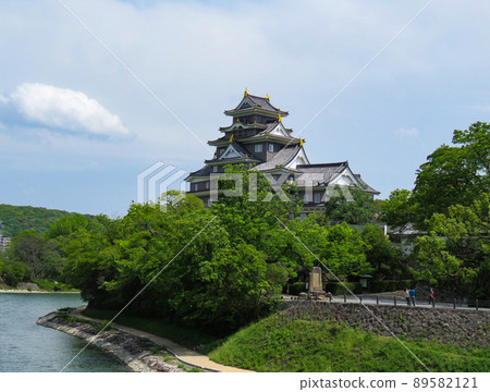 Okayama Castle seen from Tsukimi Bridge Okayama Castle seen from Tsukimi Bridge 89582121