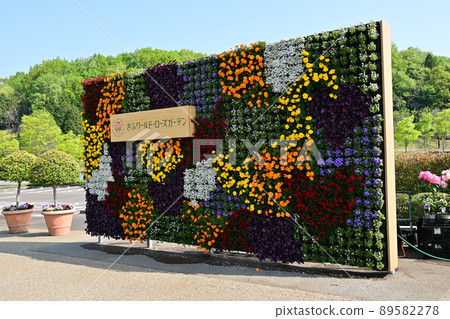 岐阜世界玫瑰園花卉對象 89582278