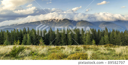 Beautiful dramatic white clouds over mountains. Forest hills in Carpathian mountains. Ukraine. 89582707