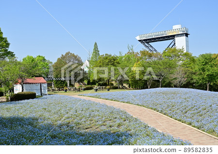 Nemophila and the Tower of Flower (Gifu World Rose Garden) 89582835