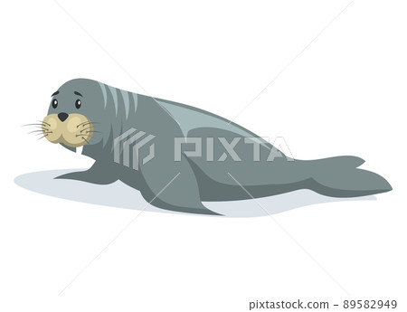 Small seal crawling on belly on ice floe. Wild animal baby sea lion lies on glacier in antarctica 89582949