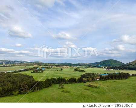 Seongsidol Ranch 89583067