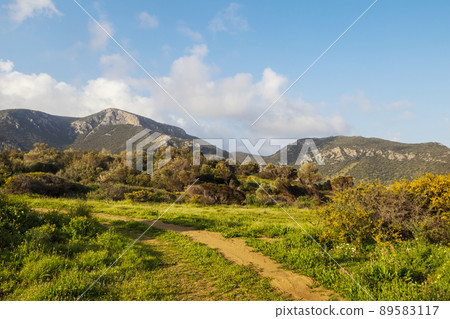 Road in mountains Road in mountains 89583117