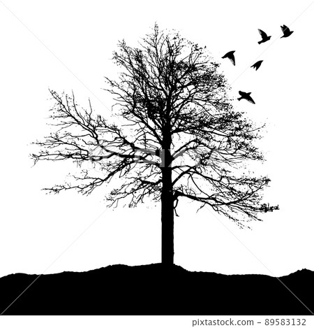 Silhouette of a lonely tree with flying birds. Vector illustration Silhouette of a lonely tree with flying birds. Vector illustration 89583132