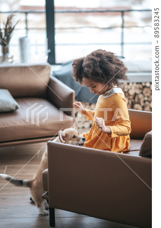 Dark-skinned girl playing with a cute dog Dark-skinned girl playing with a cute dog 89583245