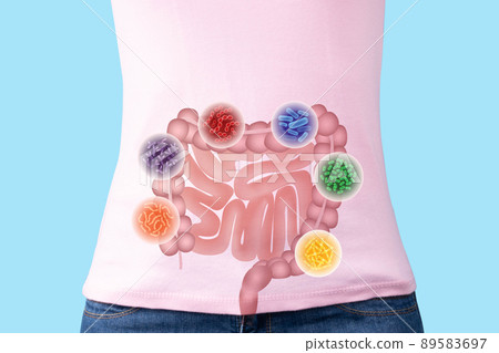 Probiotics health benefits. Intestine of woman with good bacteria set lactobacillus, lactococcus, propionibacterium, bifidobacterium, streptococcus thermophilus, bulgaricus. Healthy digestive systems. Probiotics health benefits. Intestine of woman with good bacteria set lactobacillus, lactococcus, propionibacterium, bifidobacterium, streptococcus thermophilus, bulgaricus. Healthy digestive systems. 89583697