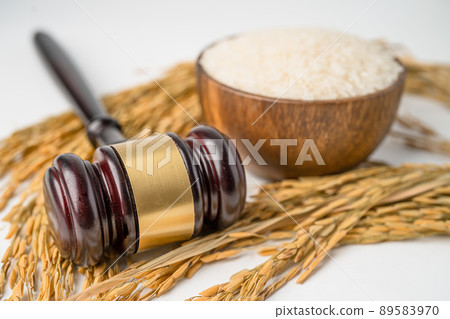 Judge gavel hammer with good grain rice from agriculture farm. Law and justice court concept. Judge gavel hammer with good grain rice from agriculture farm. Law and justice court concept. 89583970