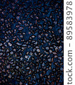 Stone 89583978