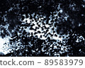 Autumn leaves 89583979