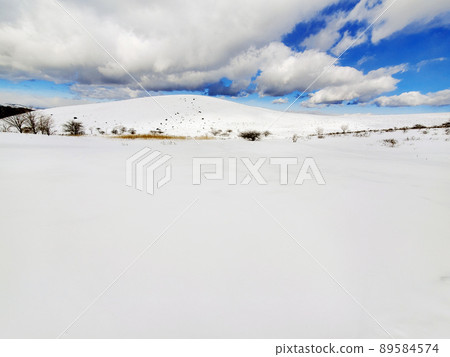 Meadow Winter / Kirigamine (Nagano Prefecture) Meadow Winter / Kirigamine (Nagano Prefecture) 89584574