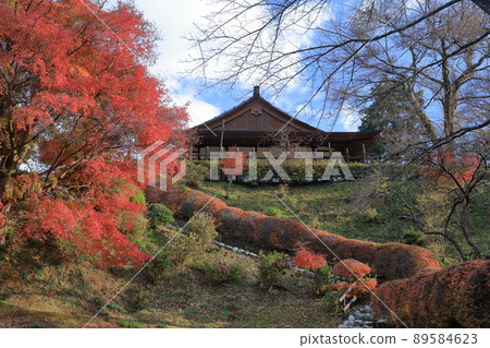 Yamashiro during the period of autumn leaves dyed in red (Damine Castle, Shitara Town, Aichi Prefecture) 89584623