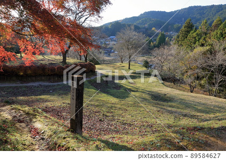 Castle Kuruwa (Damine Castle, Doju Kuruwa, Shitara Town, Aichi Prefecture) 89584627