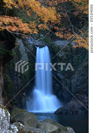 Narusawa Falls during the fall foliage (Shinshiro City, Aichi Prefecture) Narusawa Falls during the fall foliage (Shinshiro City, Aichi Prefecture) 89584666