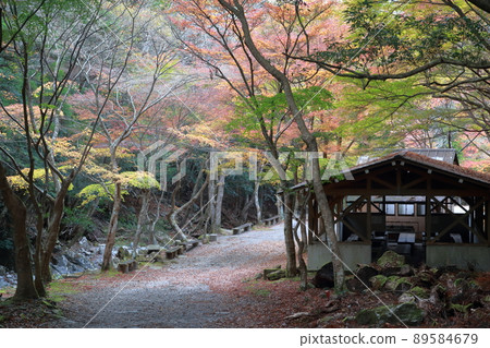 Scenery of colorful autumn leaves (Kuragari Gorge, Dark Garden Valley, Okazaki City, Aichi Prefecture) 89584679