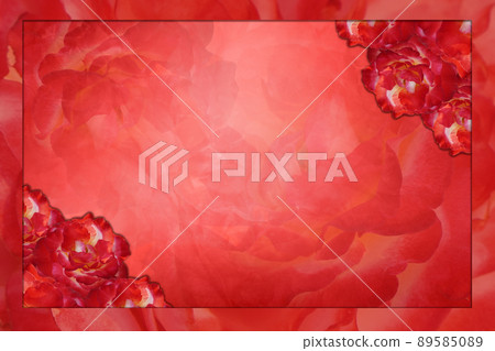 blur red frame, red roses top right and bottom left, abstract blur roses flower on red background, nature, banner, template, name card, copy space 89585089