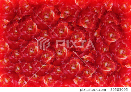 texture red roses flower background, nature, banner, template, name card, object, decor, copy space texture red roses flower background, nature, banner, template, name card, object, decor, copy space 89585095