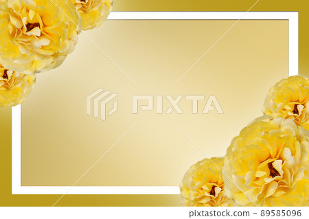 yellow roses flower top left and bottom right corners on a white square frame on yellow background, nature, decor, banner, template, name card, copy space yellow roses flower top left and bottom right corners on a white square frame on yellow background, nature, decor, banner, template, name card, copy space 89585096