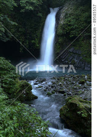 日本境內100個水頭25m的瀑布（靜岡縣伊豆市湯島市淨蓮之瀧） 89585557