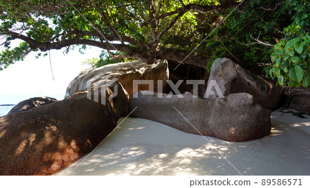 A snow-white beach on the island of Similan. 89586571
