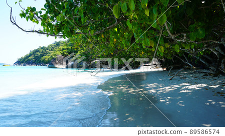 A snow-white beach on the island of Similan. A snow-white beach on the island of Similan. 89586574