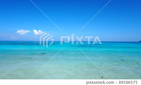 Turquoise ocean water. Leaves are floating. Turquoise ocean water. Leaves are floating. 89586575