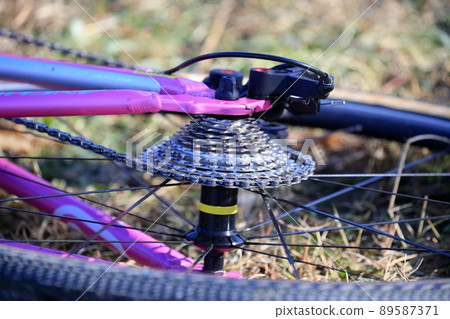 競賽自行車的後齒輪傳動裝置 89587371