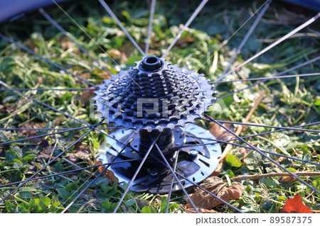 Gears on the transmission of a competition bicycle Gears on the transmission of a competition bicycle 89587375