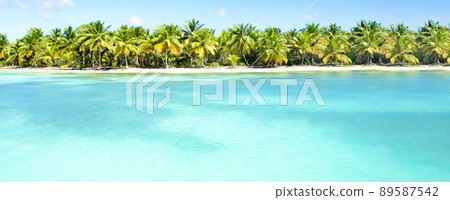 Fantastic tropical beach with palm trees. 89587542