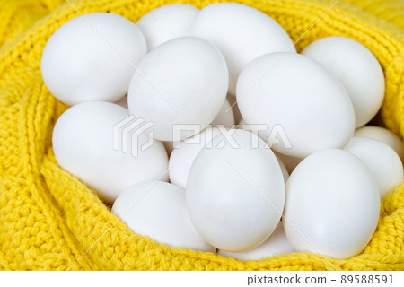 white chicken eggs in yellow wool sweater. lot of white eggs close up. white chicken eggs in yellow wool sweater. lot of white eggs close up. 89588591