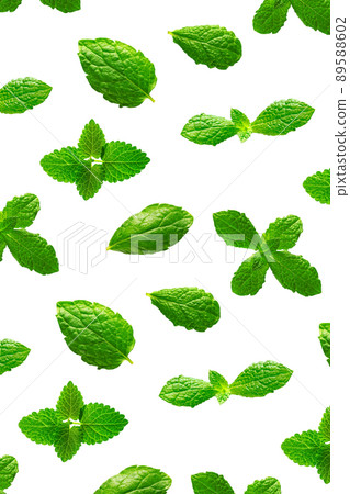 Background of fresh mint leaves on white backdrop 89588602