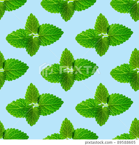 Seamless pattern of fresh mint leaves on blue background Seamless pattern of fresh mint leaves on blue background 89588605
