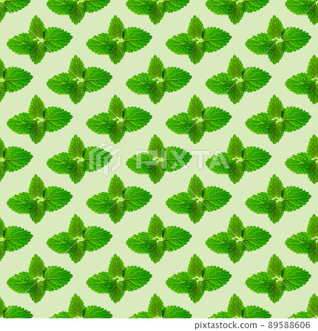 Seamless pattern of fresh mint leaves on green background Seamless pattern of fresh mint leaves on green background 89588606