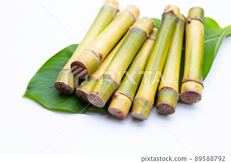 Sugar cane on white background. 89588792