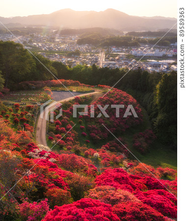 Azalea Festival in Kasama Azalea Park, Kasama City, Ibaraki Prefecture 89589363