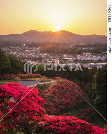 Azalea Festival in Kasama Azalea Park, Kasama City, Ibaraki Prefecture 89589368