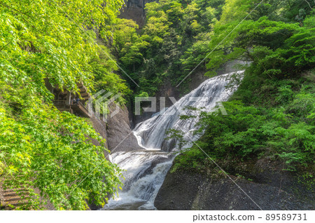 Fresh green Fukuroda Falls, Daigo Town, Ibaraki Prefecture 89589731