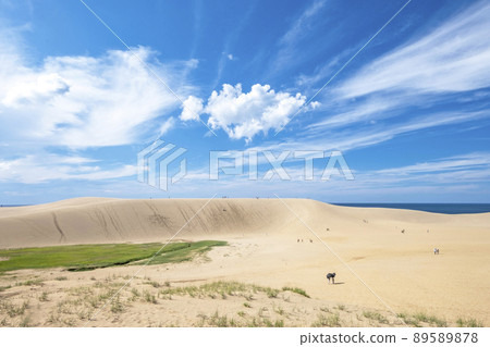 秋天天空中的鳥取沙丘 89589878