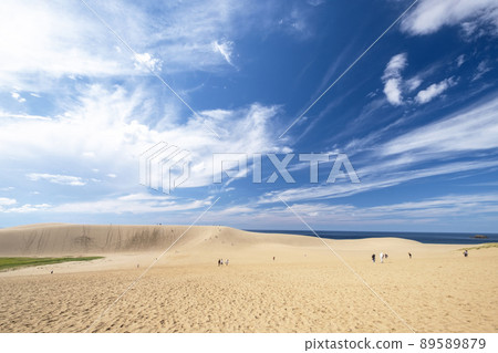 秋天天空中的鳥取沙丘 秋天天空中的鳥取沙丘 89589879
