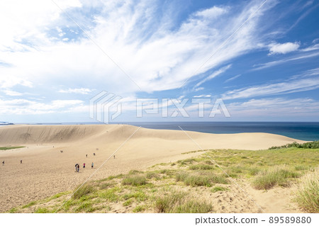 秋天天空中的鳥取沙丘 89589880