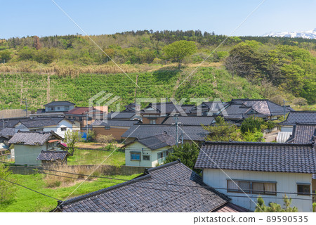 Country landscape 89590535