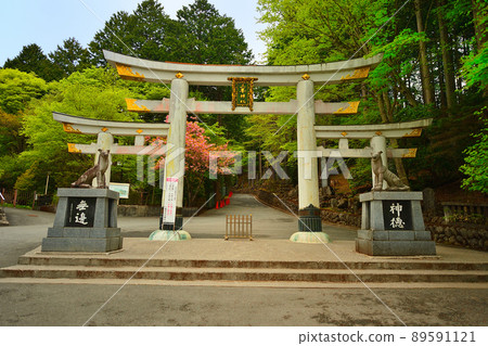 Mimen Shrine Mitsuru Torii (Saitama Prefecture Chichibu city) Mimen Shrine Mitsuru Torii (Saitama Prefecture Chichibu city) 89591121