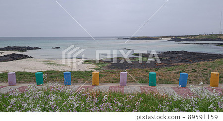 Wildflowers blooming on the emerald sea beach Wildflowers blooming on the emerald sea beach 89591159
