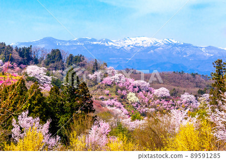 From Mt. Hanami to Mt. Azuma in the snow From Mt. Hanami to Mt. Azuma in the snow 89591285