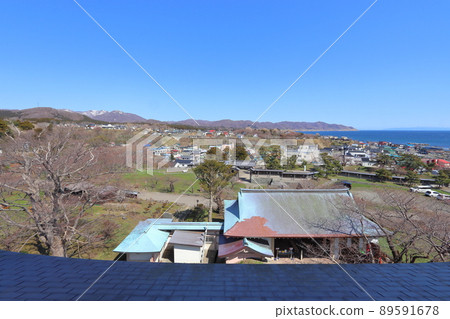 從櫻花正面的標準樹松前城向白神岬看的城堡 從櫻花正面的標準樹松前城向白神岬看的城堡 89591678