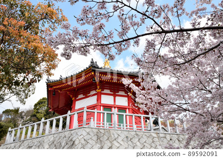 Reigenji Temple (Hachikakudo) [Wakayama City, Wakayama Prefecture] 89592091