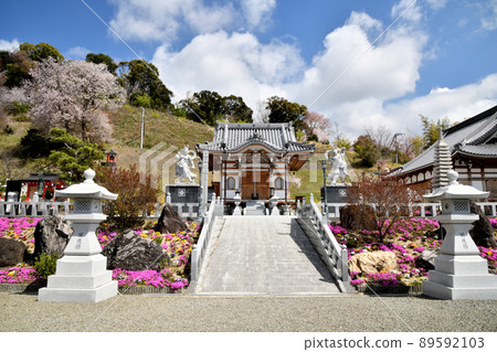 Reigenji Temple [Wakayama City, Wakayama Prefecture] 89592103