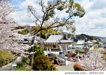 靈源寺[和歌山縣和歌山市] 89592104