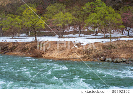 從關越高速公路湯澤IC附近的融雪的魚野川新邊橋眺望，殘雪，初春的景色 89592392