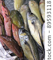 fish  89593118