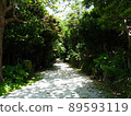 A road surrounded by green 89593119